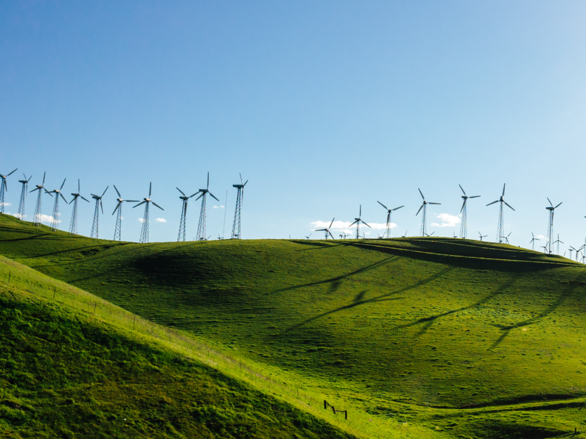 Wind turbine farm